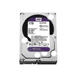 HDD-WD Purple, 1Tb HDD